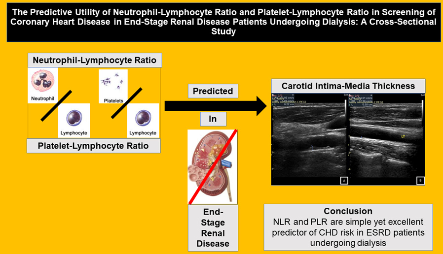 Graphical Abstract